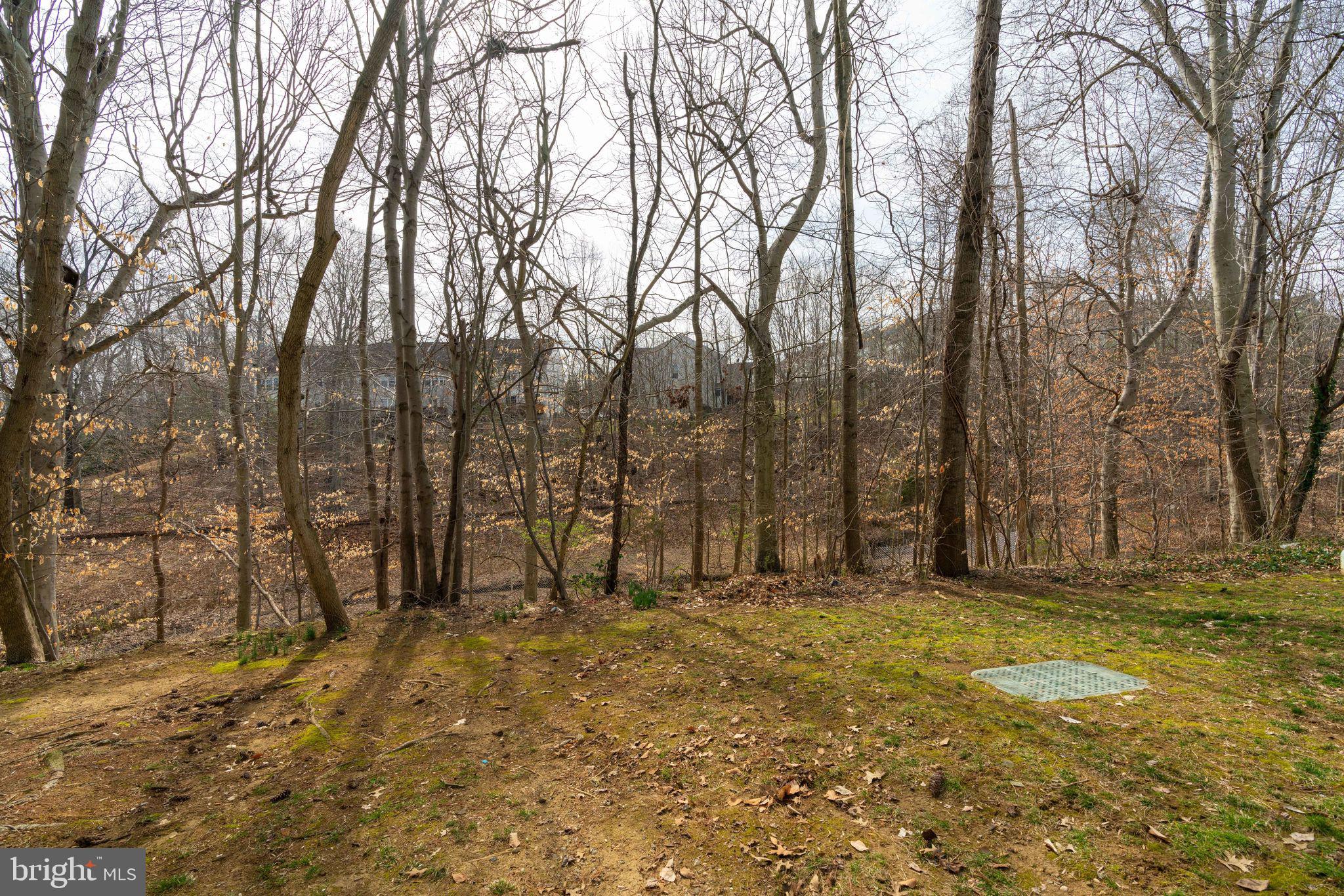 TOWNS OF FOREST HILLS - Residential