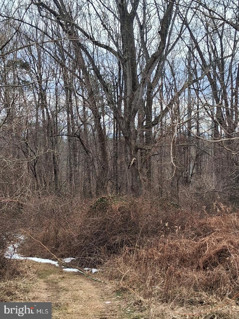 268 ROLLINS FORD ROAD