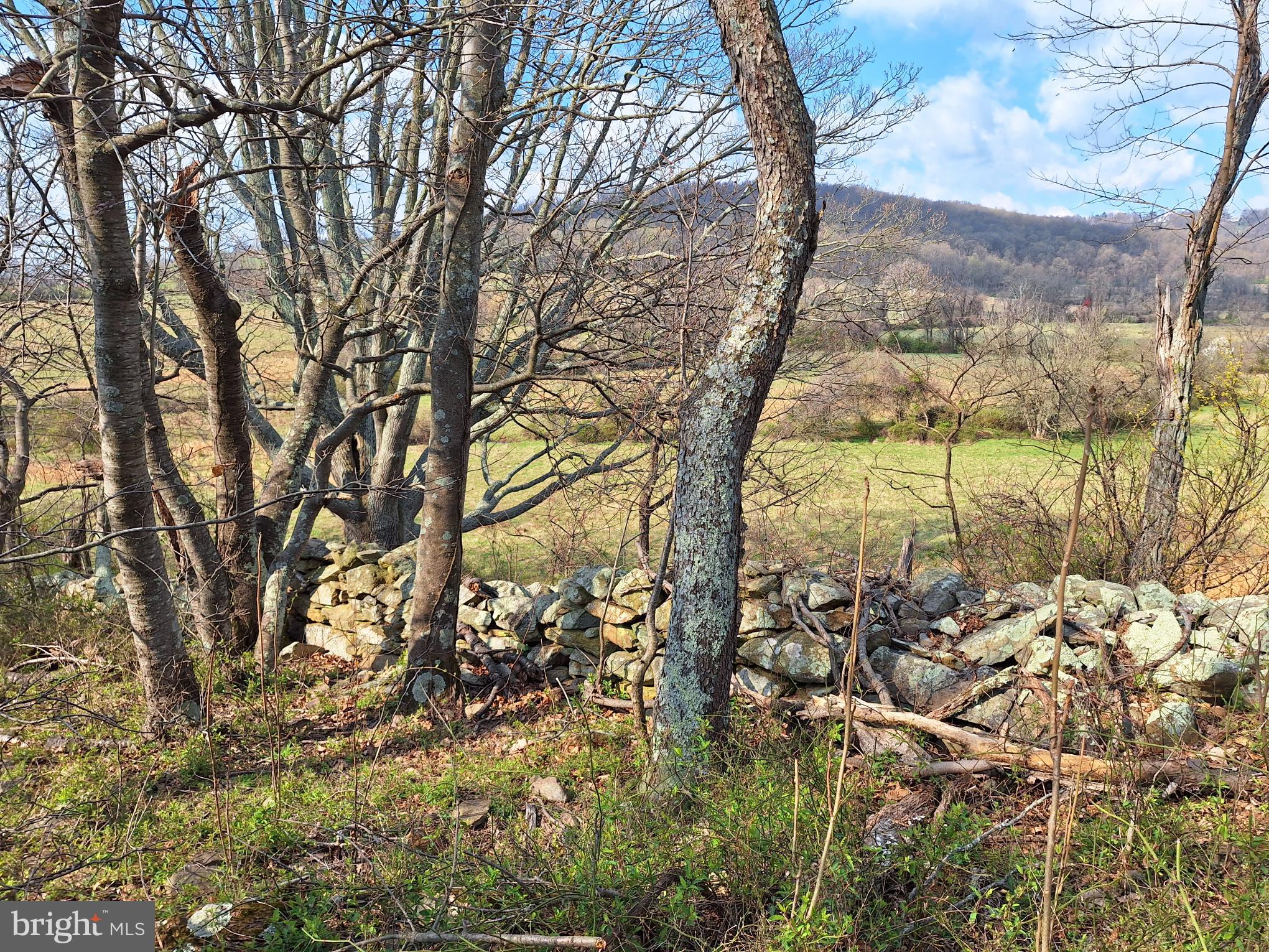 18590 appx FOGGY BOTTOM RD.