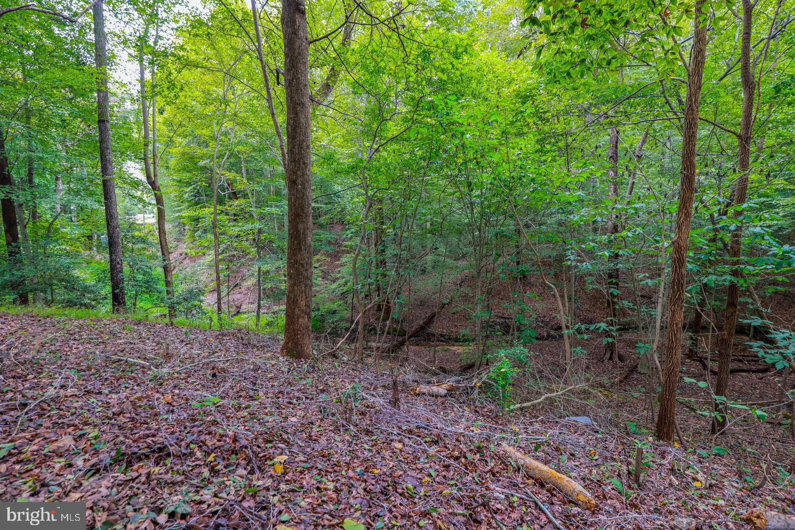 BEECHWOOD MANOR - Residential