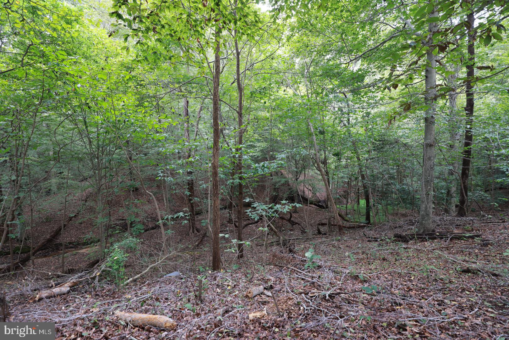 BEECHWOOD MANOR - Residential