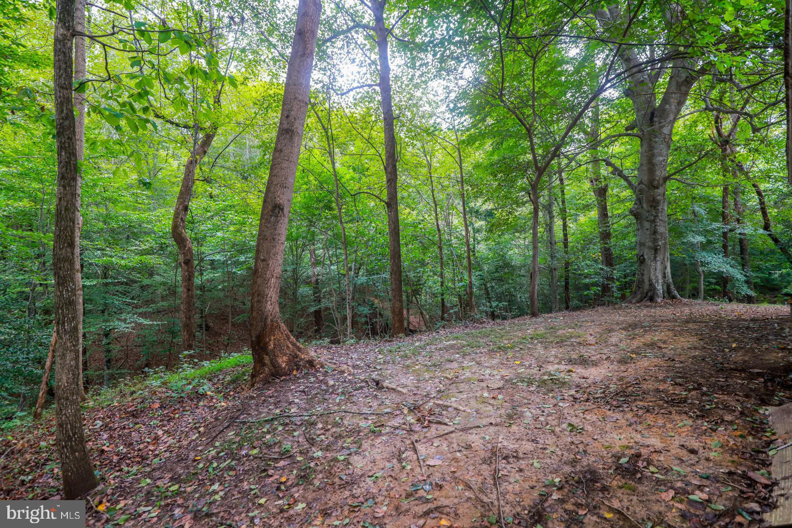 BEECHWOOD MANOR - Residential