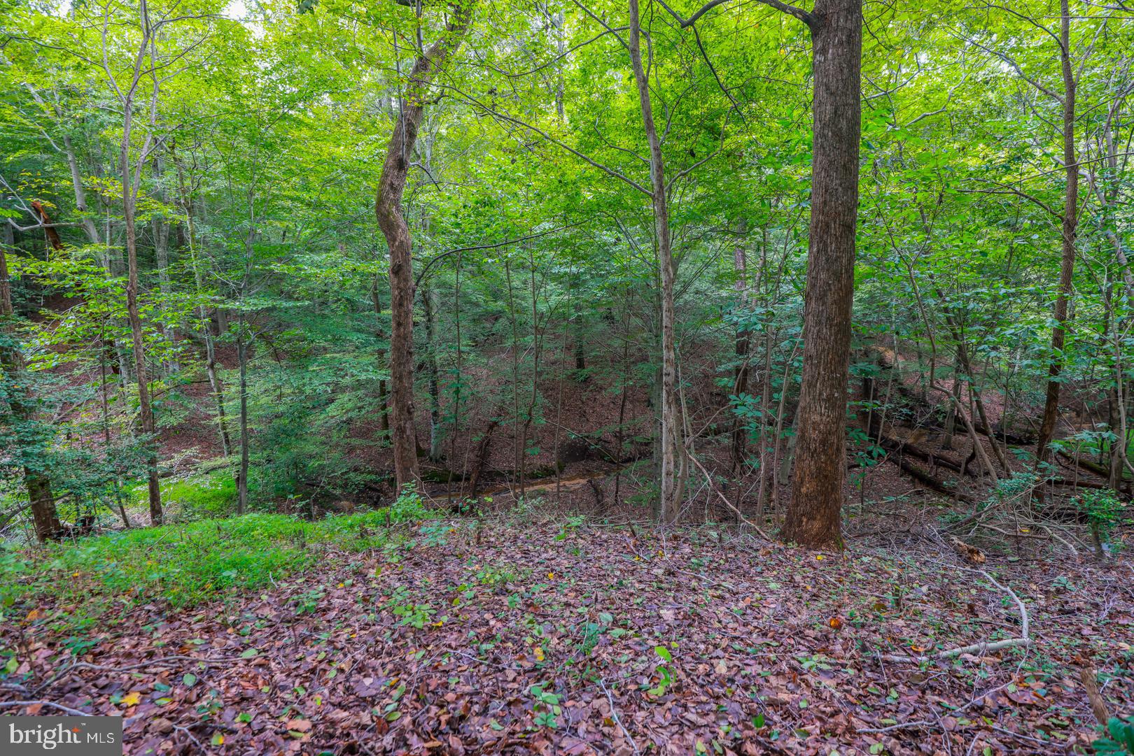 BEECHWOOD MANOR - Residential