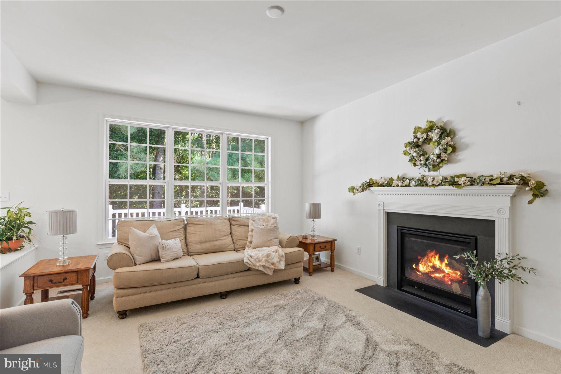 WILLOW BROOK - Residential