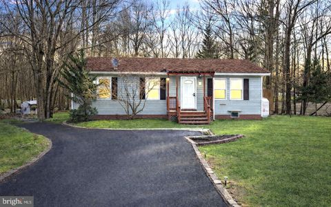 10 WHITE BIRCH WAY ALBRIGHTSVILLE PA 18210