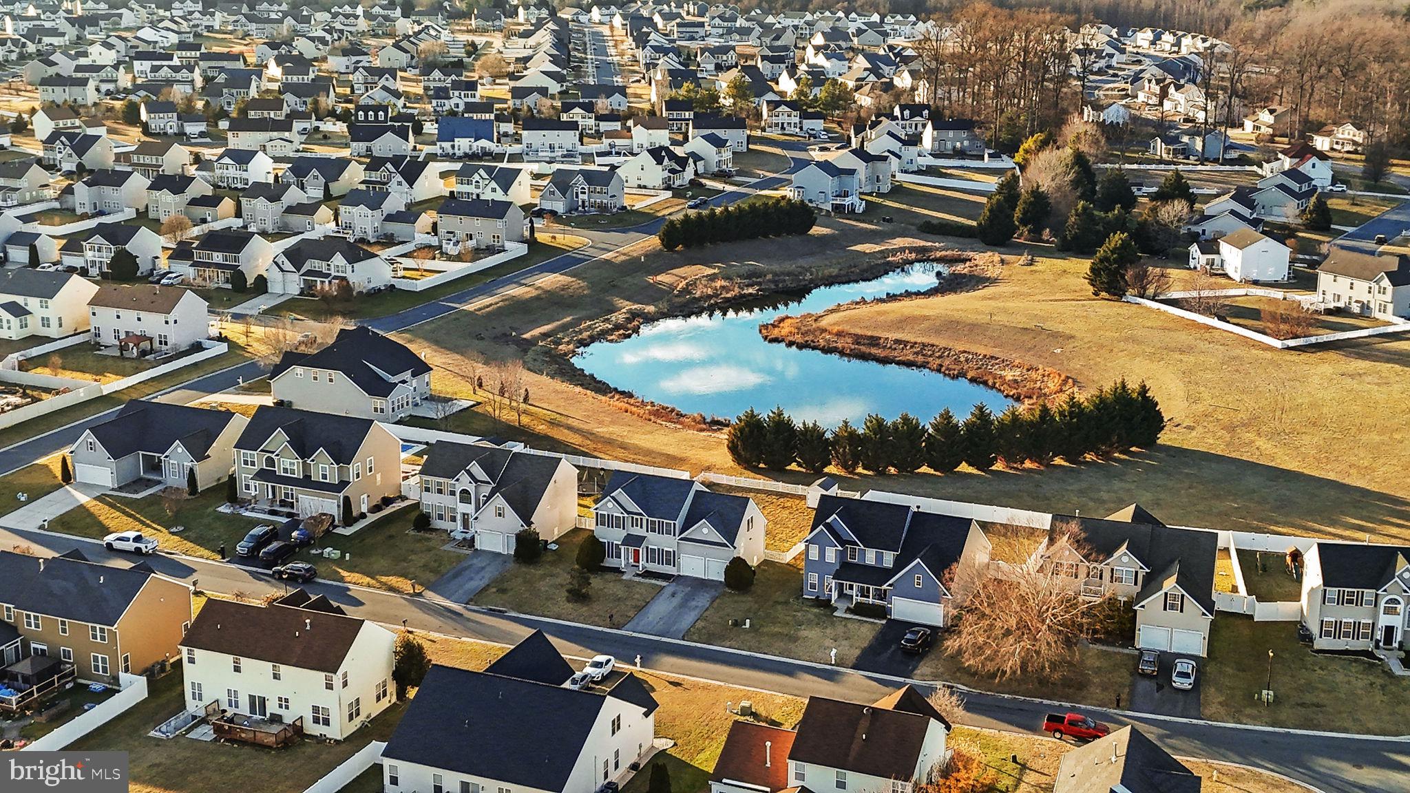 CHESTNUT RIDGE - Residential