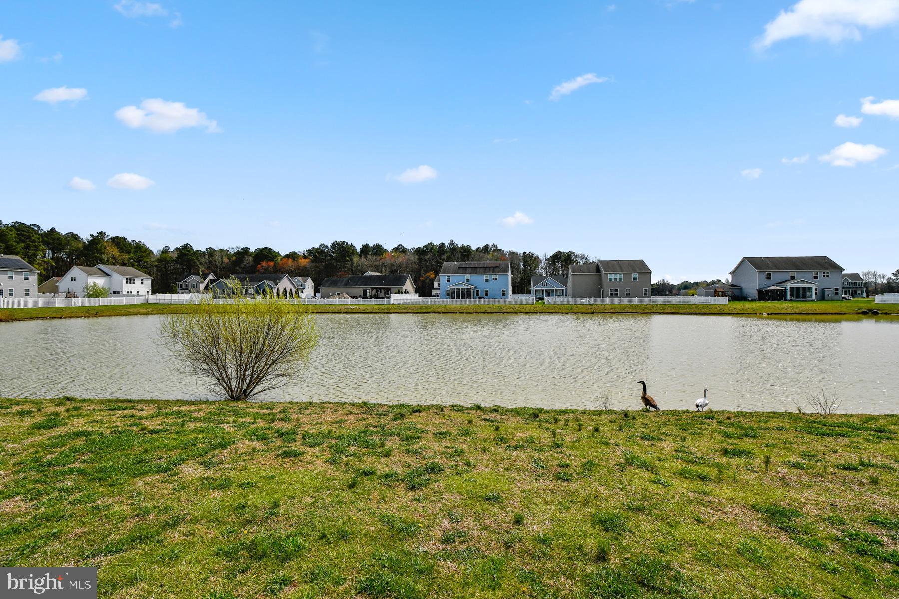 HERON PONDS - Residential