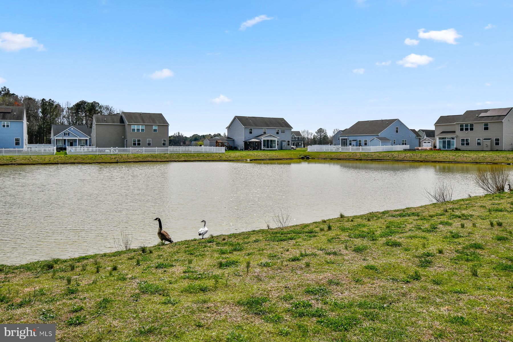 HERON PONDS - Residential