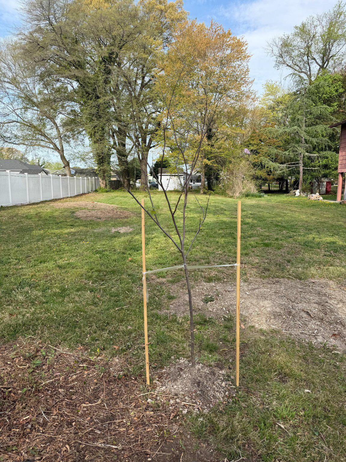 CLASSIC SHORES - Land