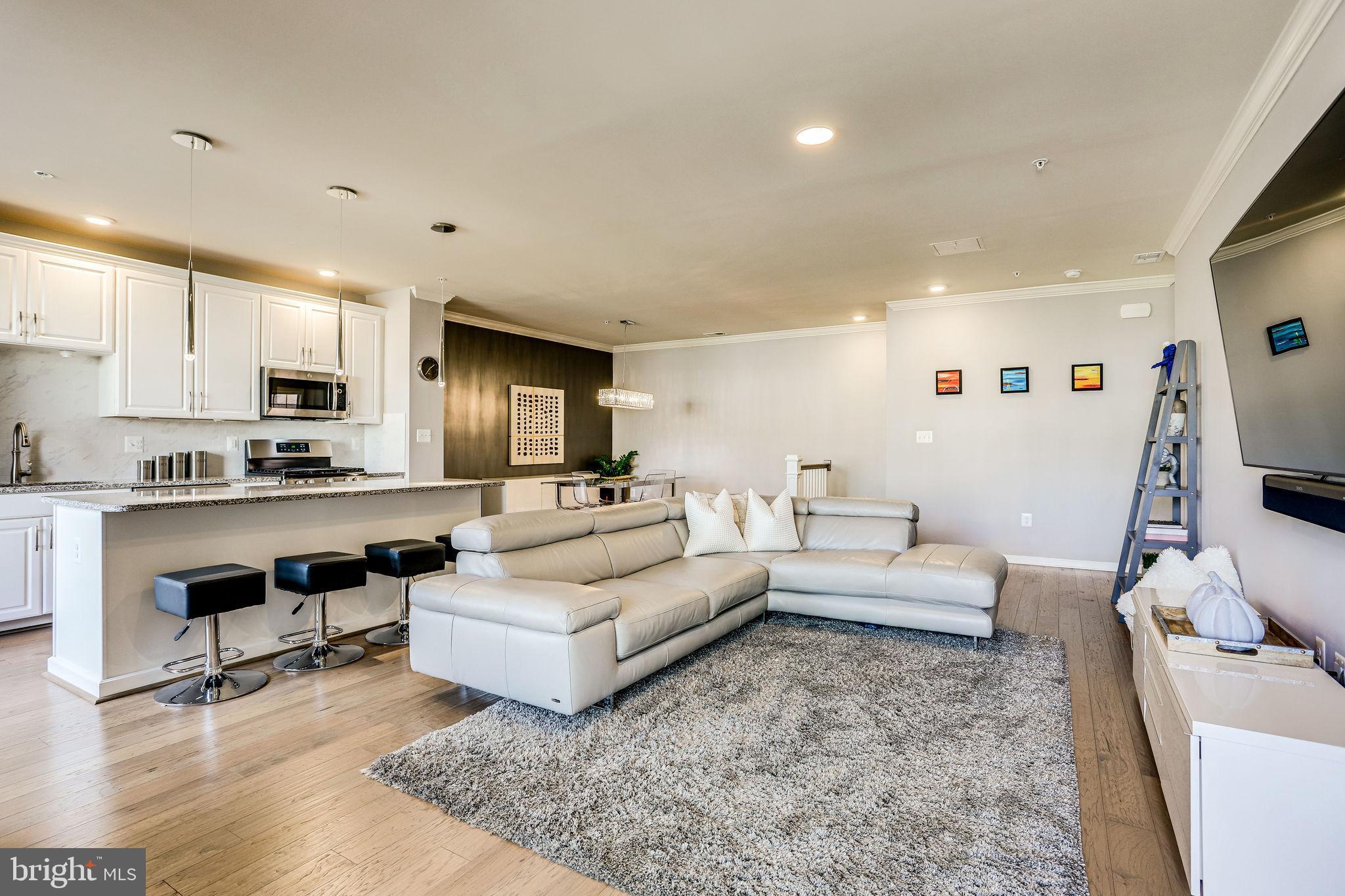 RIDGES AT LOUDOUN VALLEY - Residential