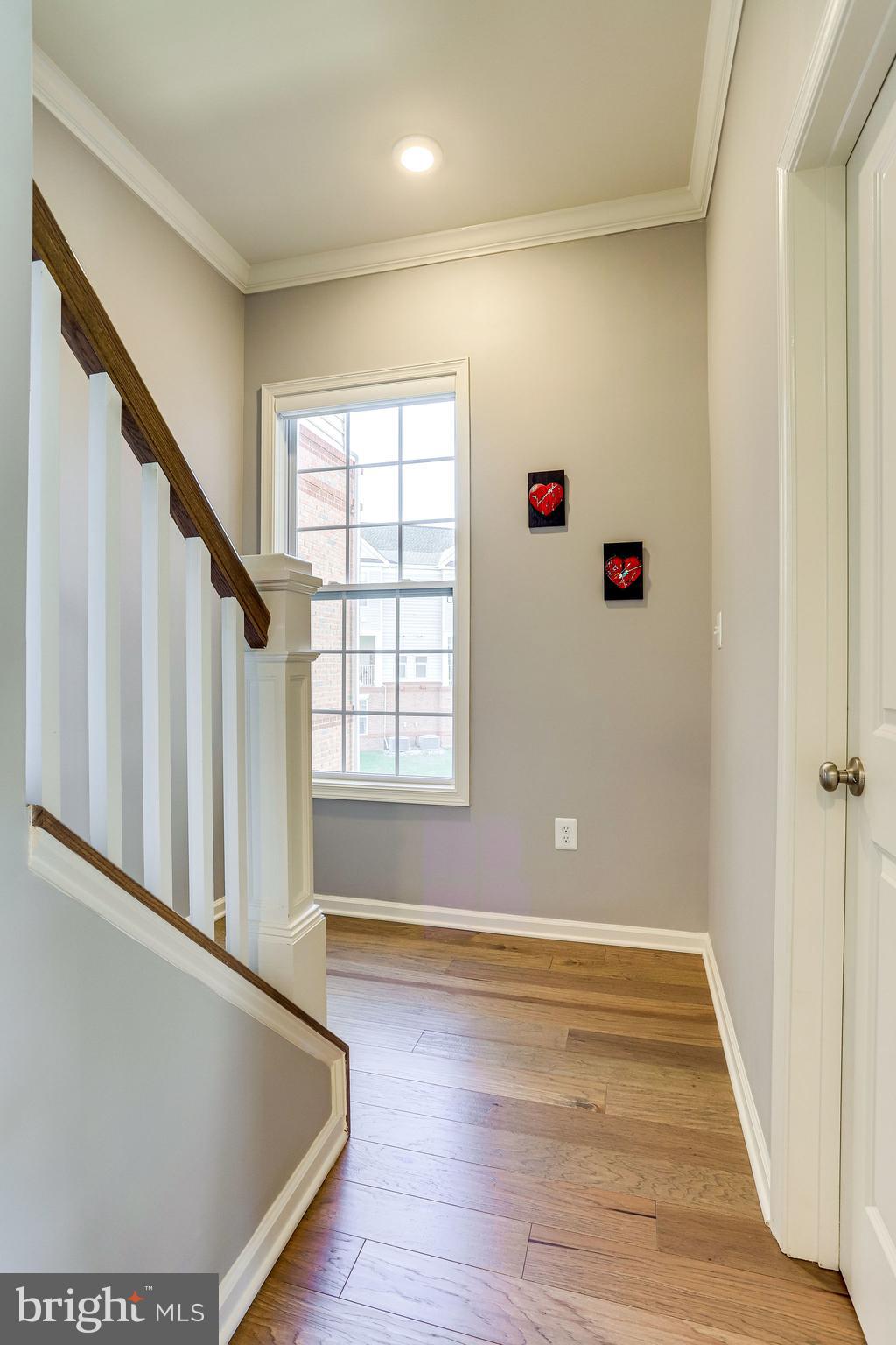 RIDGES AT LOUDOUN VALLEY - Residential