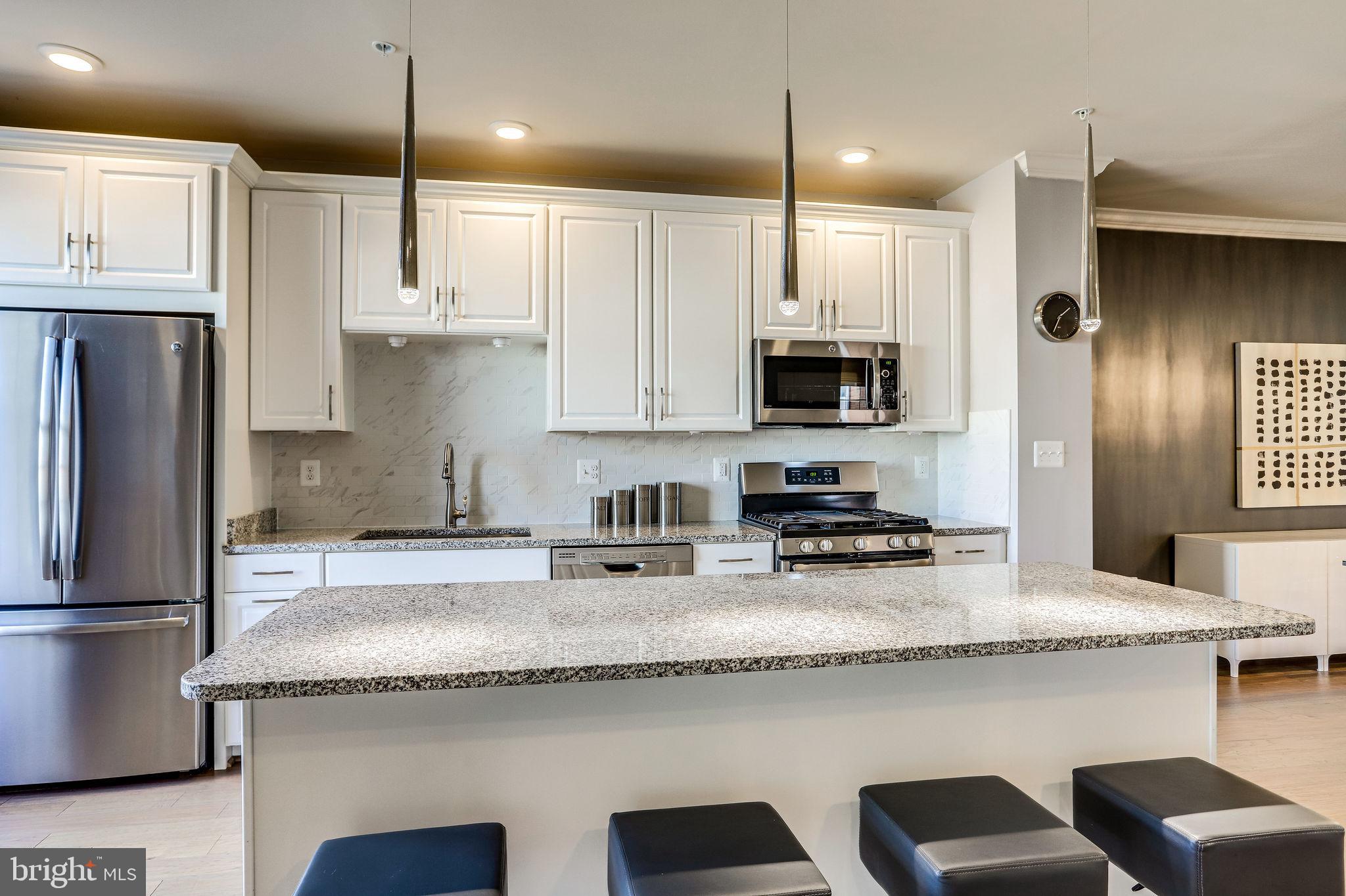 RIDGES AT LOUDOUN VALLEY - Residential