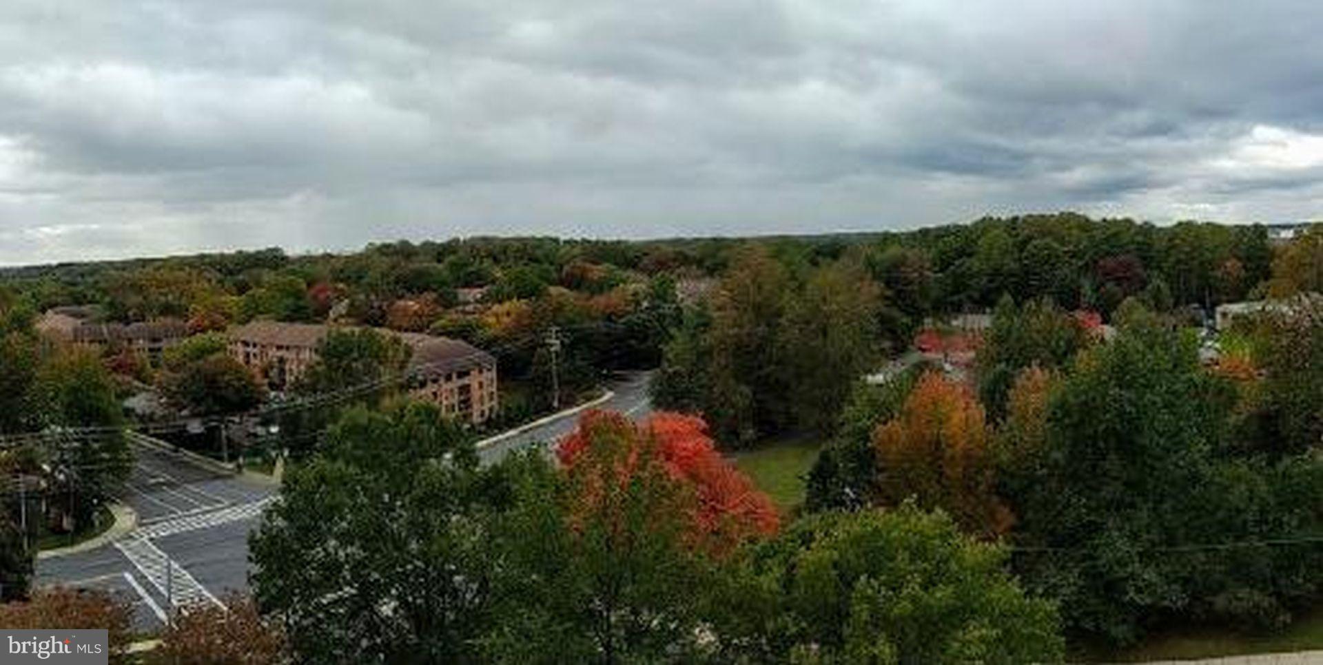 THE WISCONSIN CODM - Residential