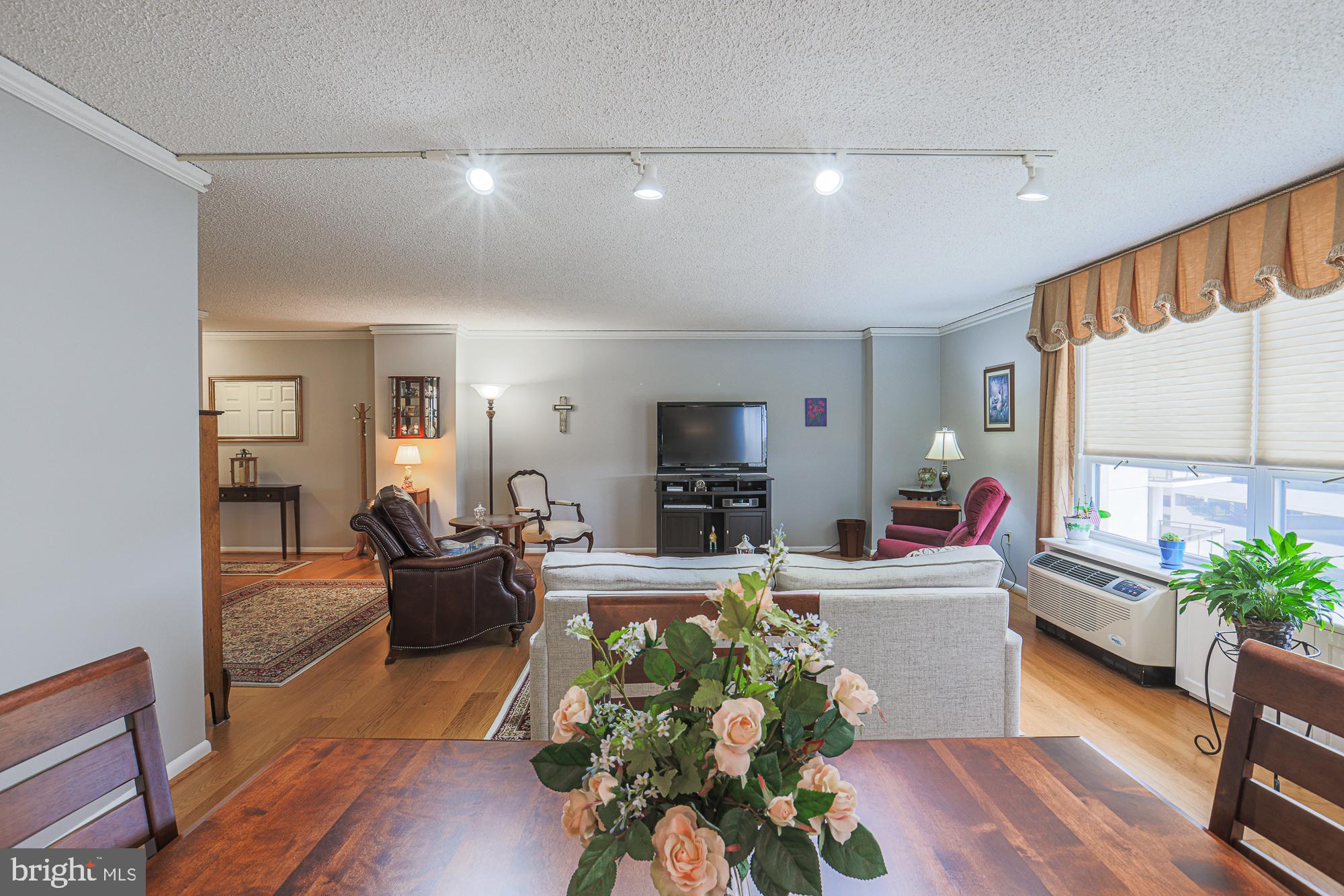 RIDGELY TOWSON CENTER - Residential