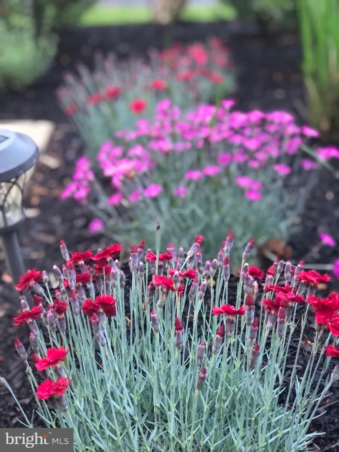 CASCADES - Residential Lease