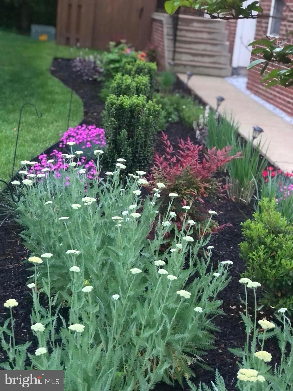 CASCADES - Residential Lease