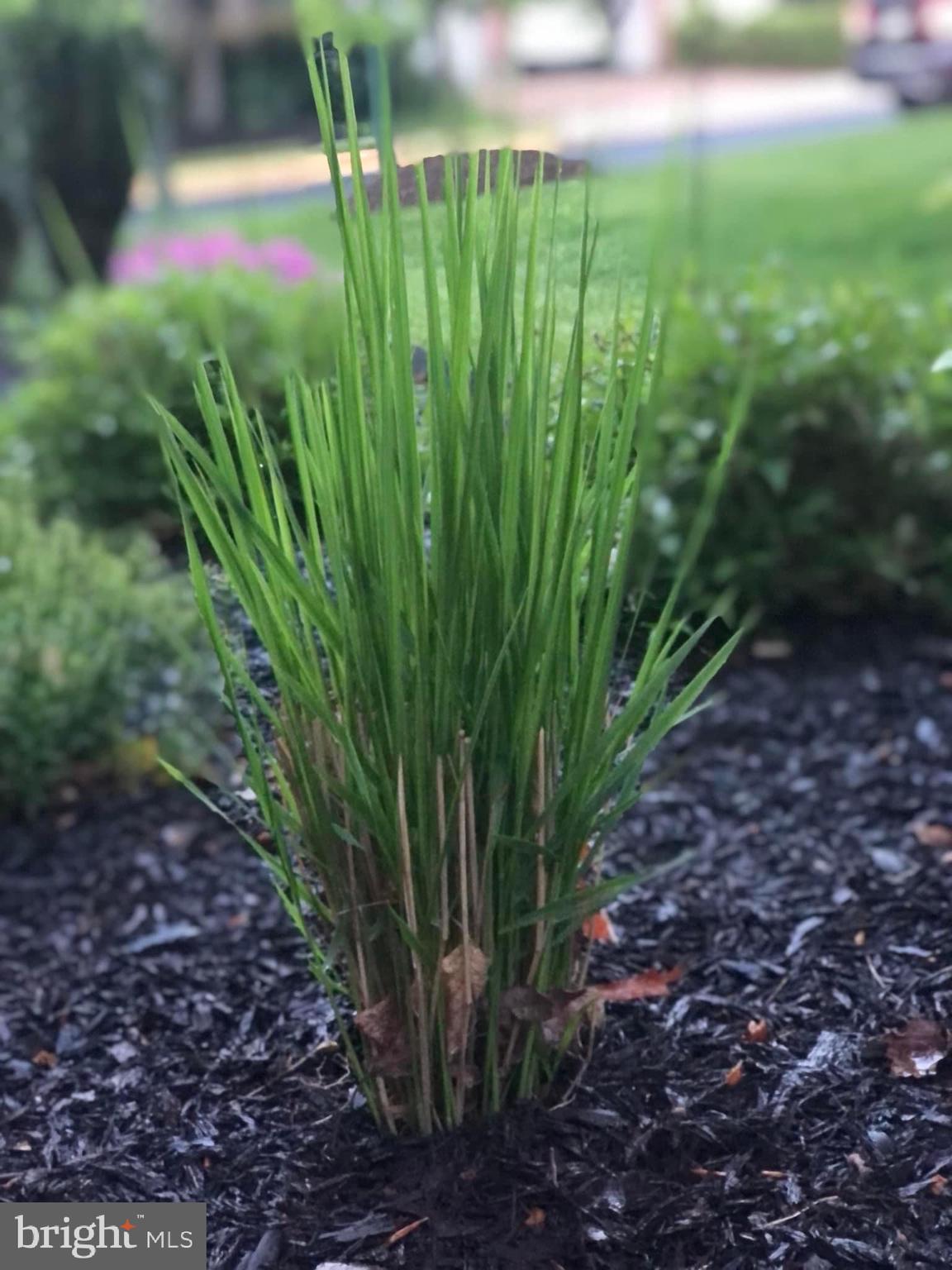 CASCADES - Residential Lease