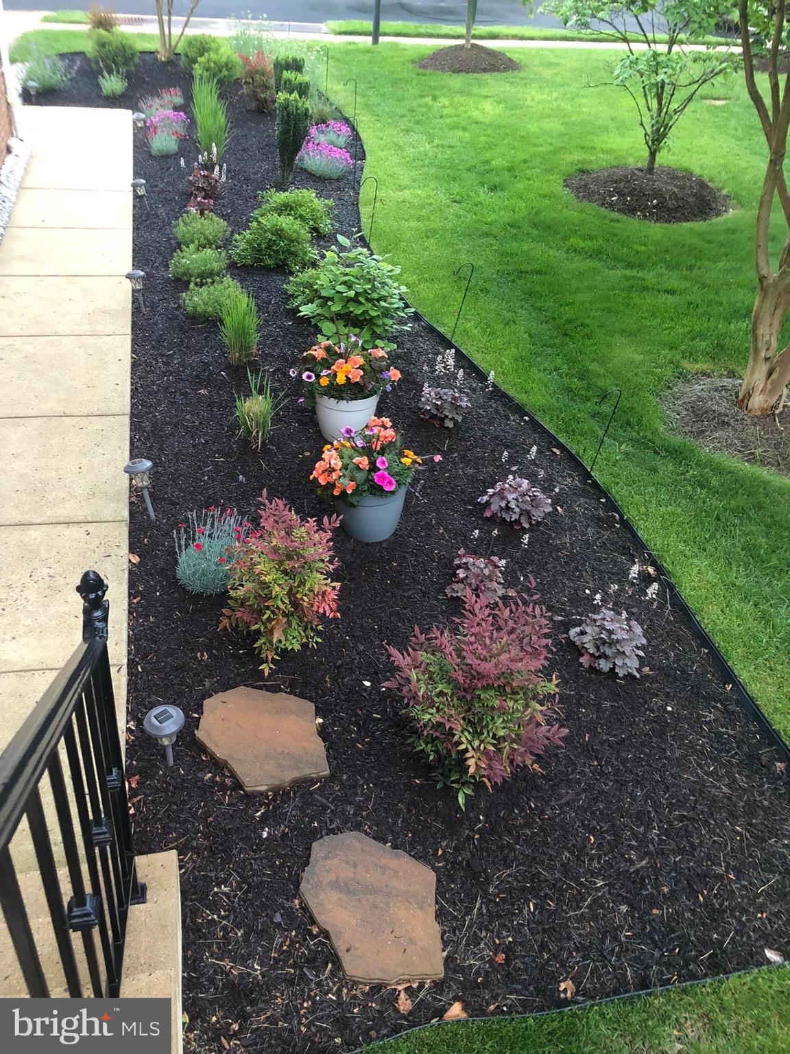 CASCADES - Residential Lease