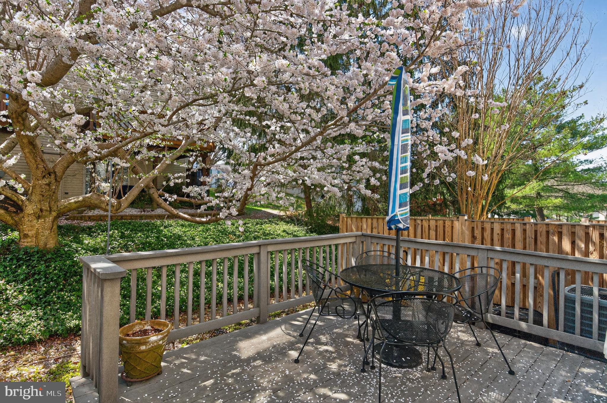 THE BLUFFS AT DEEP CREEK - Residential