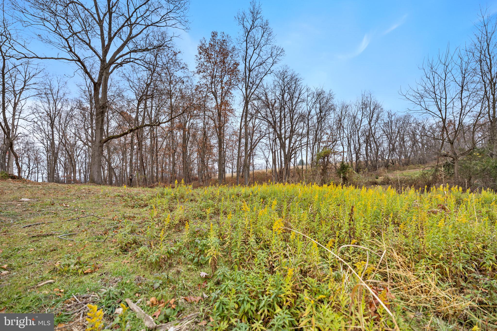 WALTON WOODS - Residential