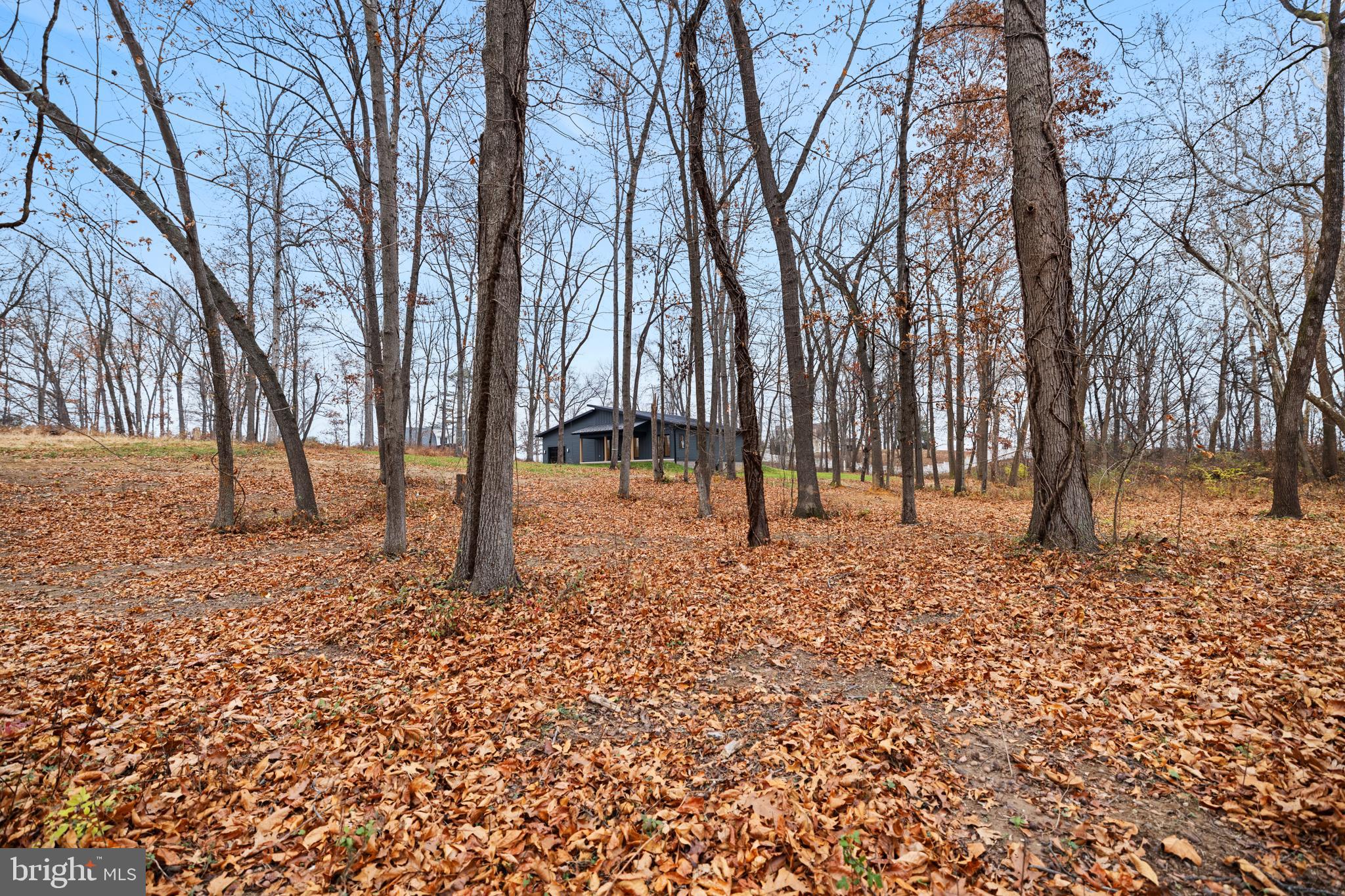 WALTON WOODS - Residential