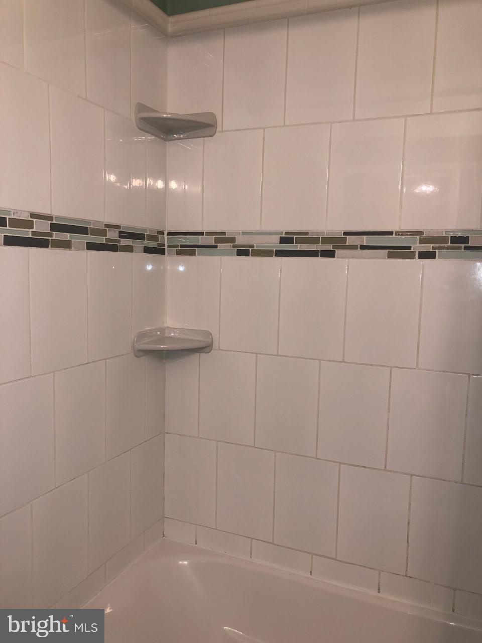 GUNNERS LAKE VILLAGE - Residential