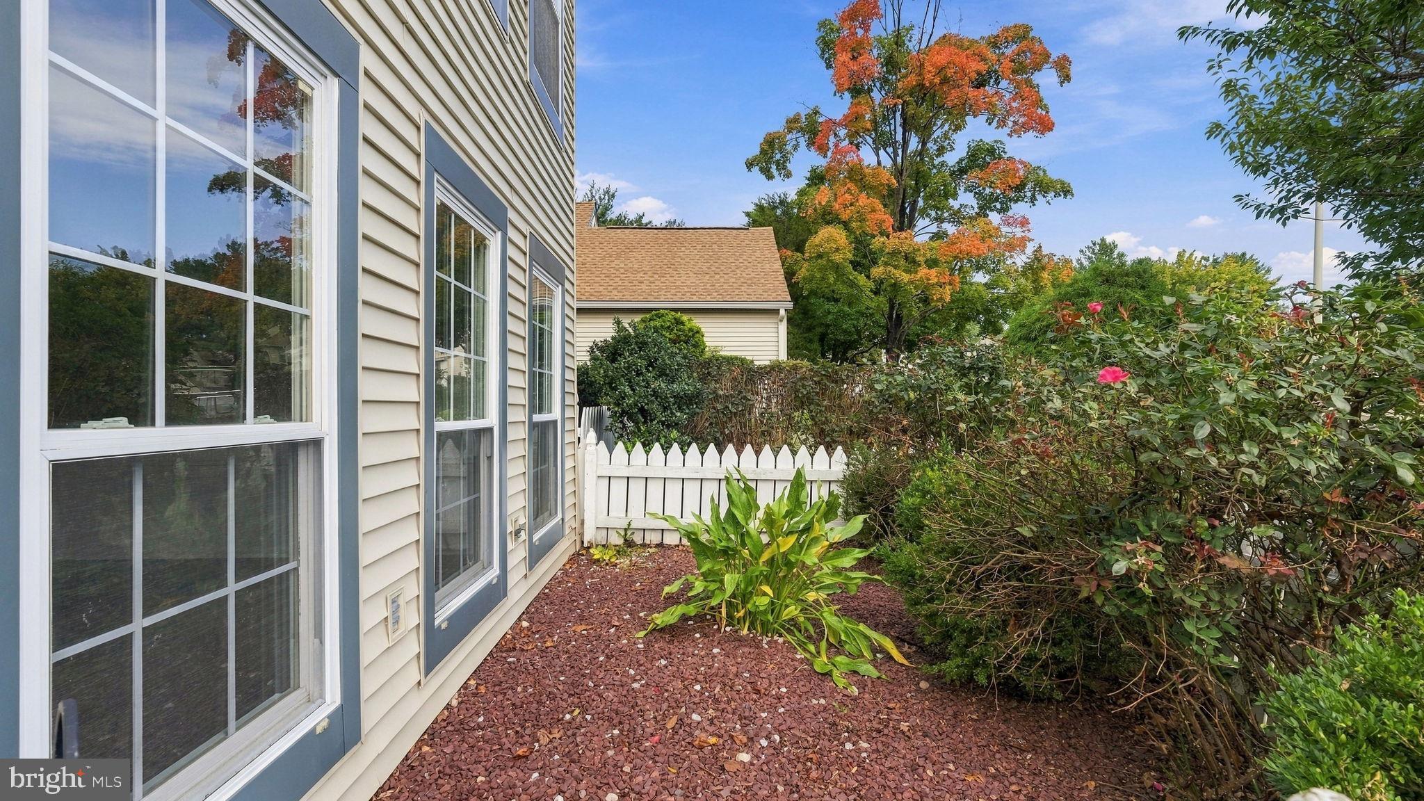574 FRASSETTO DRIVE
