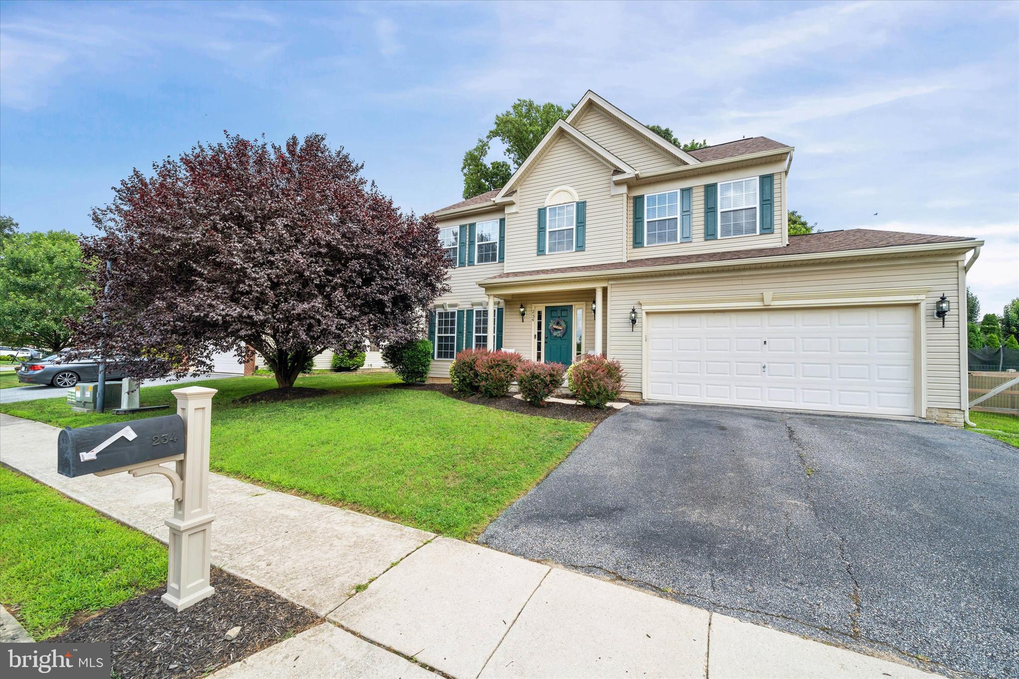 234 CLIMBING VINE AVENUE