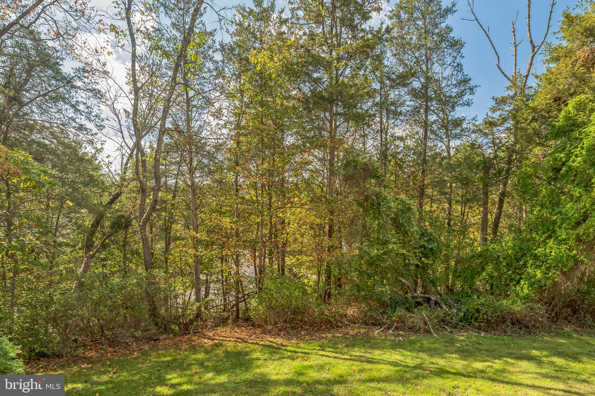 SPRING MOUNT - Residential