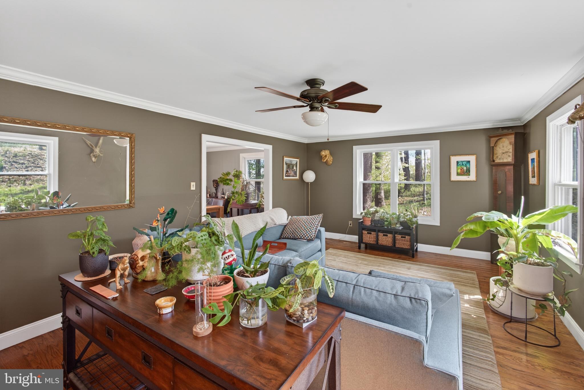 THE PINES - Residential