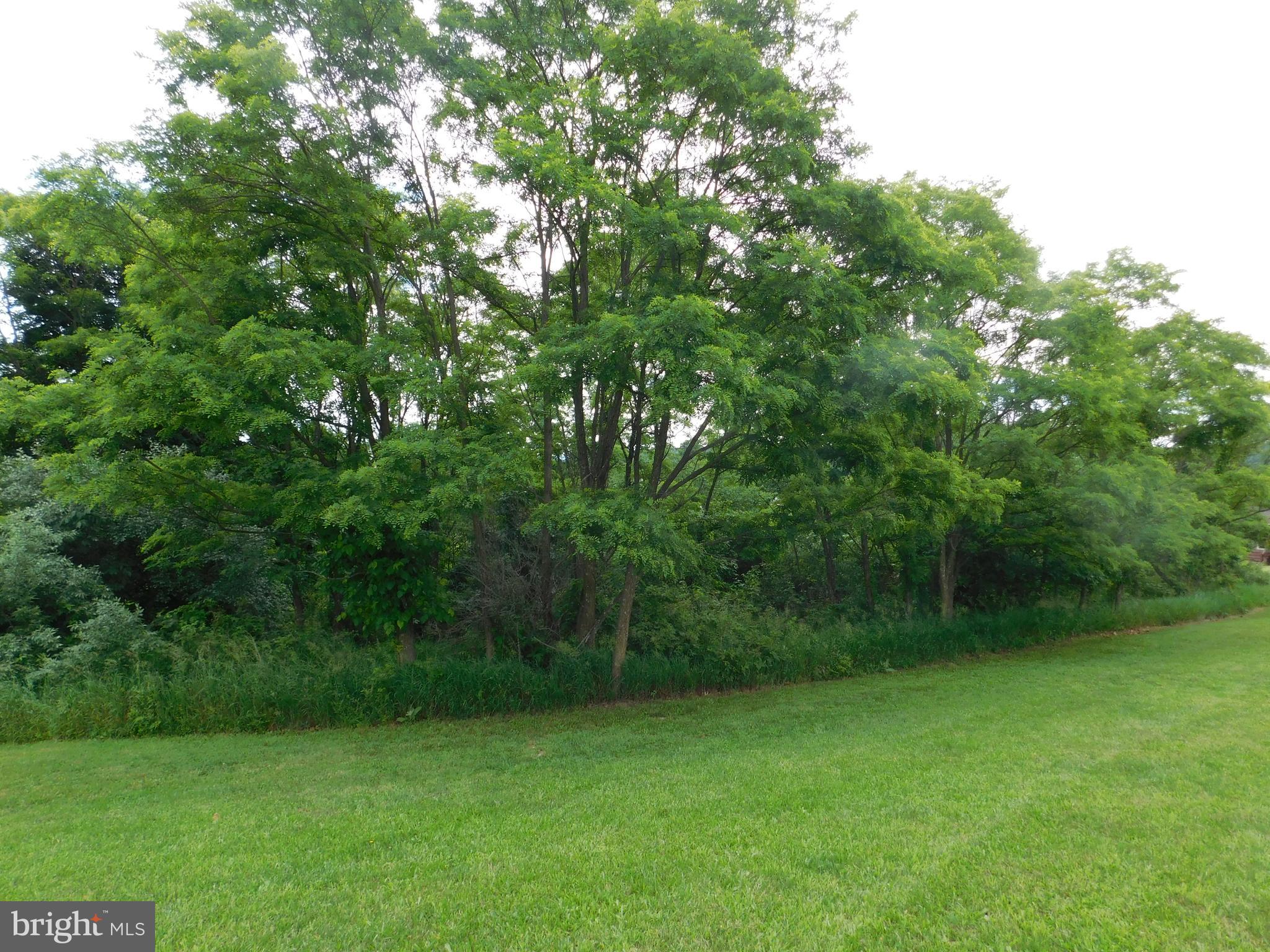 ORCHARD HILL ESTATES - Residential