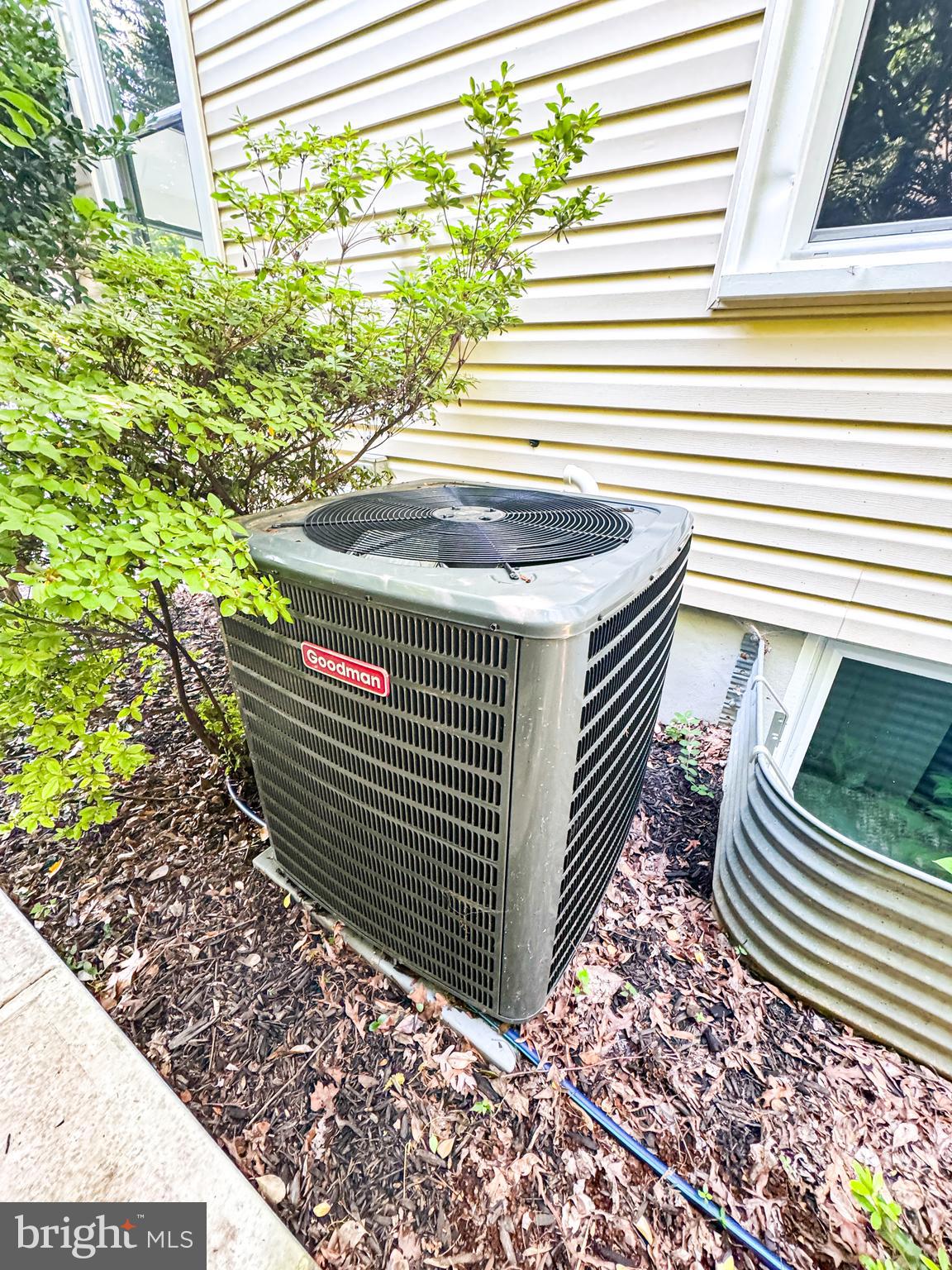 MT RAINIER - Residential