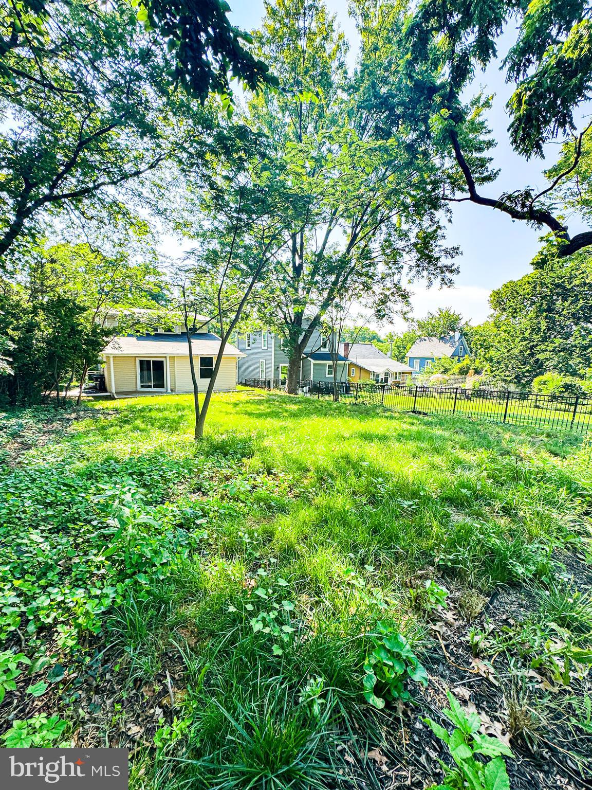 MT RAINIER - Residential