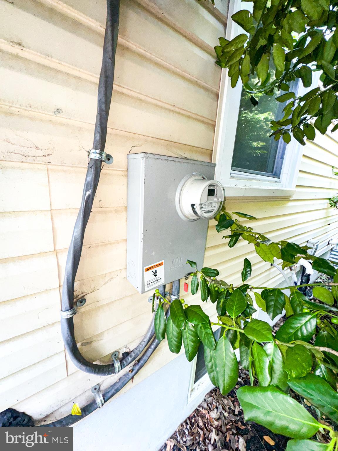 MT RAINIER - Residential