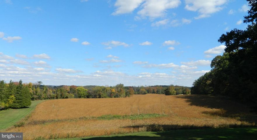 This cozy stone rancher is sitting on 20 beautiful acres in Butler! Loads of country charm w/hardwood floors & crown molding. Many recent updates to include the Soap Stone Wood Stove. New Hot Water Heater. Newer HVAC. Updated Bathrooms & Kit.  Newer appliances. This property is currently being farmed, but great potential for horses! 32x48 2 story Garage/Out building. 10x16 Shed. Circular Drwy.