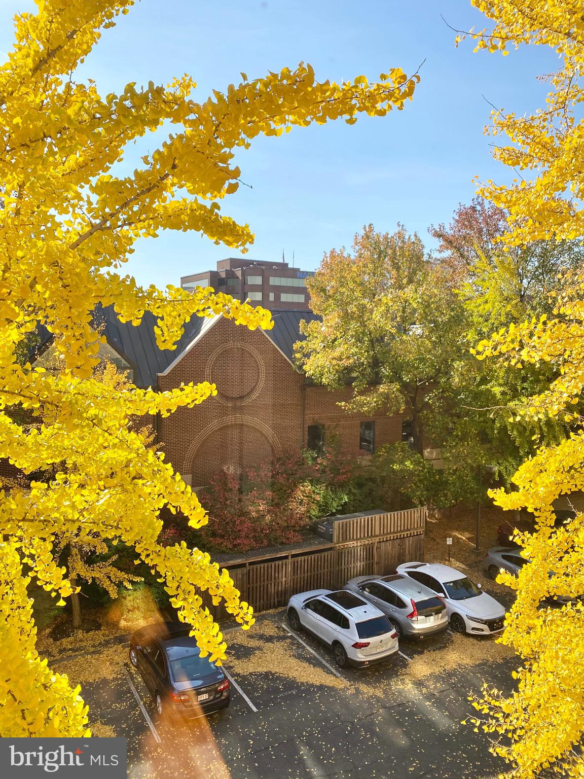 1600 PRINCE STREET - Residential Lease