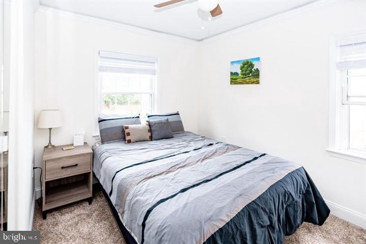 SPRINGFIELD SQUARE - Residential Lease