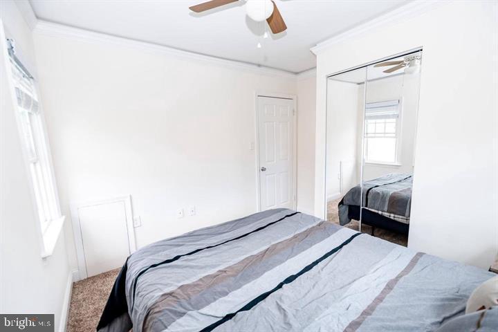 SPRINGFIELD SQUARE - Residential Lease