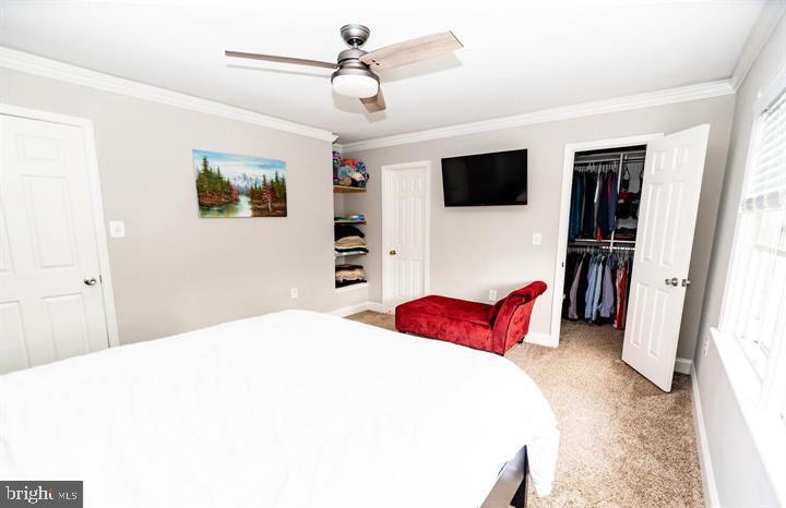 SPRINGFIELD SQUARE - Residential Lease