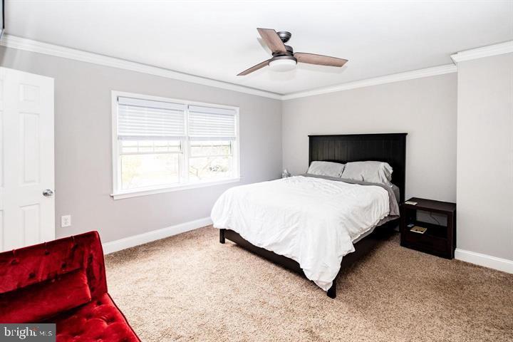 SPRINGFIELD SQUARE - Residential Lease