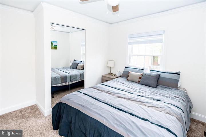 SPRINGFIELD SQUARE - Residential Lease