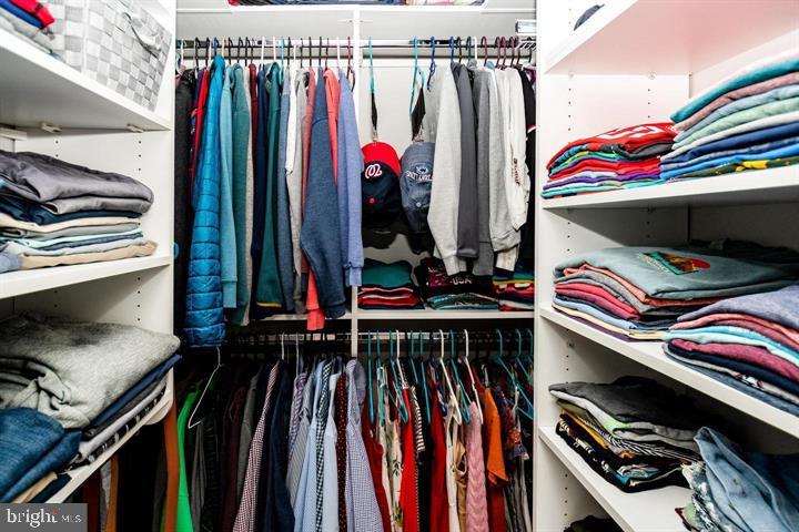 SPRINGFIELD SQUARE - Residential Lease