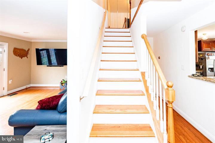 SPRINGFIELD SQUARE - Residential Lease