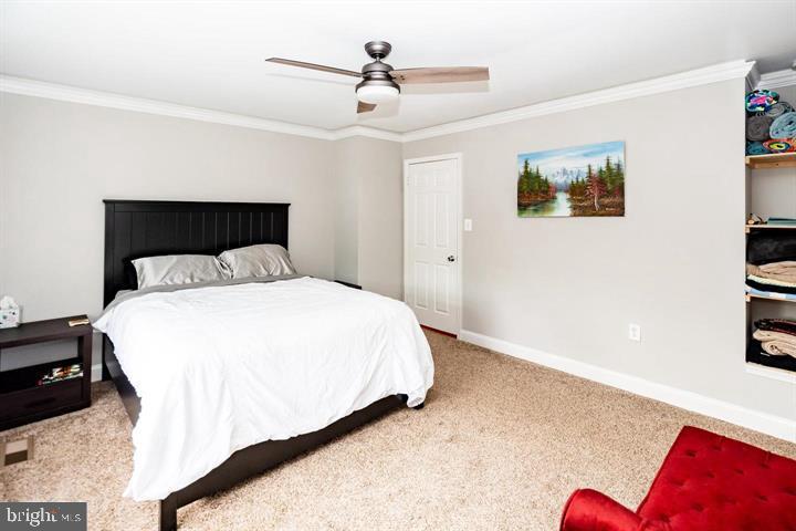 SPRINGFIELD SQUARE - Residential Lease