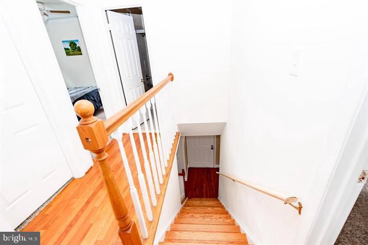 SPRINGFIELD SQUARE - Residential Lease