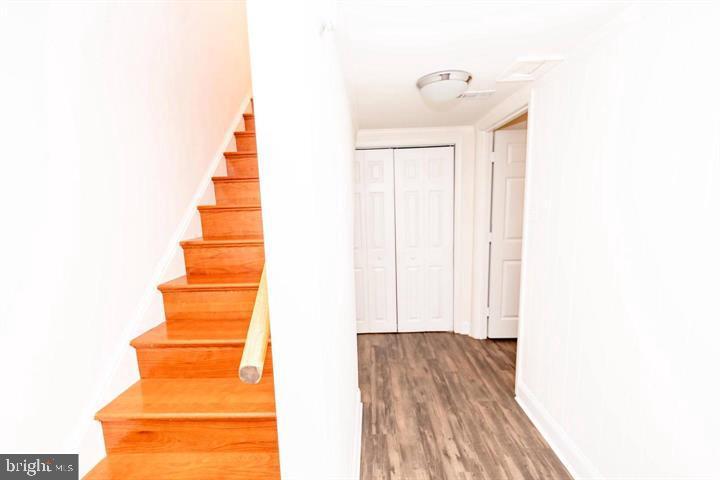 SPRINGFIELD SQUARE - Residential Lease