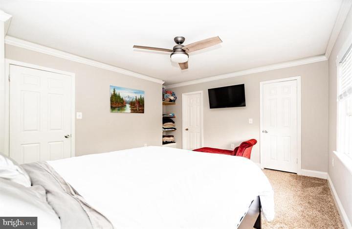 SPRINGFIELD SQUARE - Residential Lease