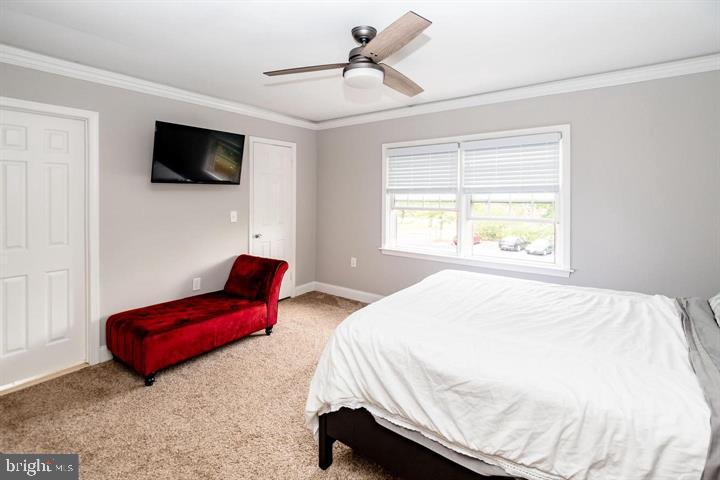 SPRINGFIELD SQUARE - Residential Lease