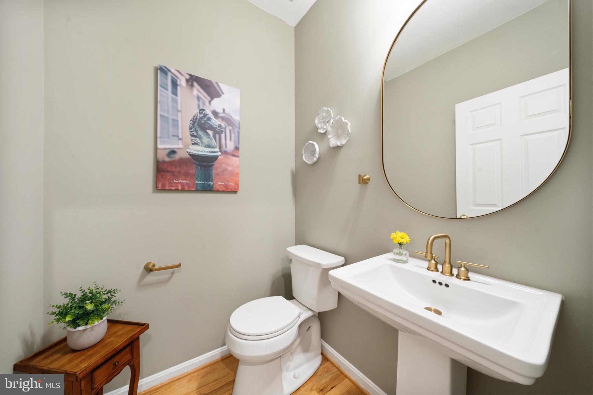 DOWNTOWN FREDERICK - Residential