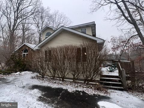 198 PYSELL ROAD MC HENRY MD 21541